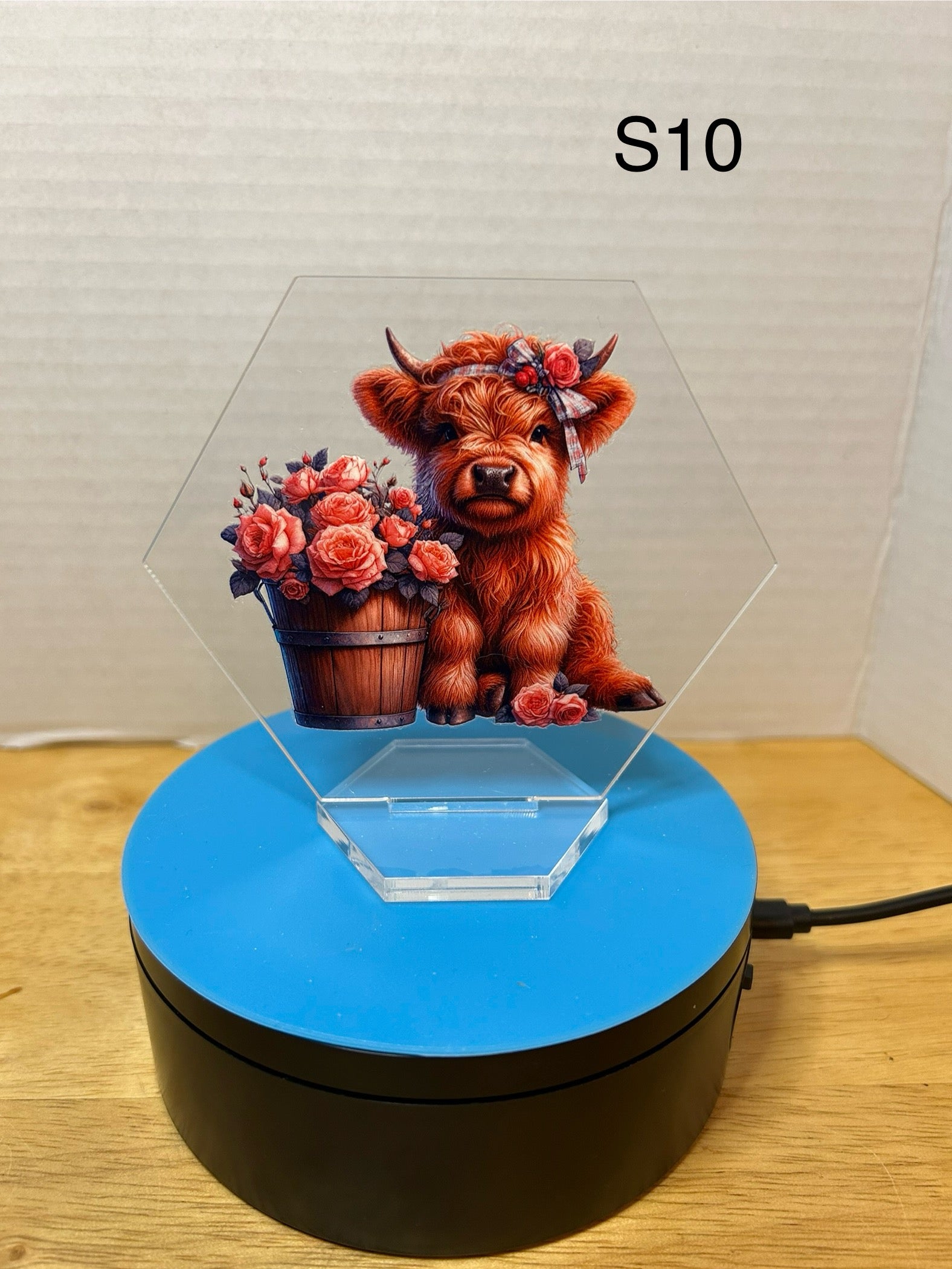 Acrylic Hexagon 4.5 Inch Sign featuring a Beautiful Design