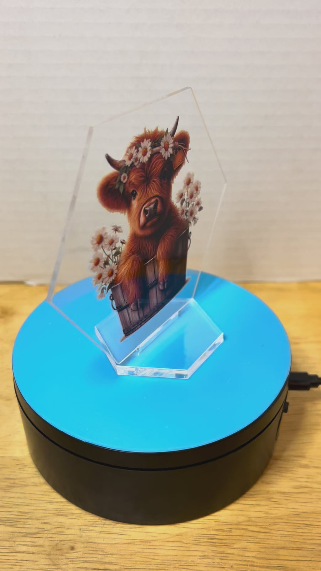 Acrylic Hexagon 4.5 Inch Sign featuring a Beautiful Design